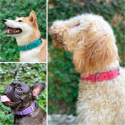 Tuff Pupper Classic Heavy Duty Dog Collar | 10x Stronger Than Leather | 100% Waterproof & Odor Proof Dog Collar | Tough Rust-Proof All Metal Hardware