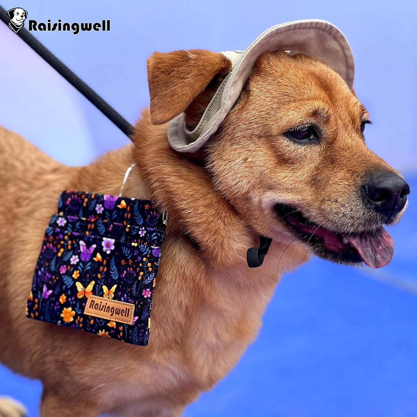 Raisingwell Dog Treat Pouch, Black Pocket Sized Pet Training Pouch, Cotton Fabric, Hand Free Dog Walking Bag with Carabiner, Self-Closing Pet Feed Snack Reward, for Pet Puppy Travel or Outdoor Use