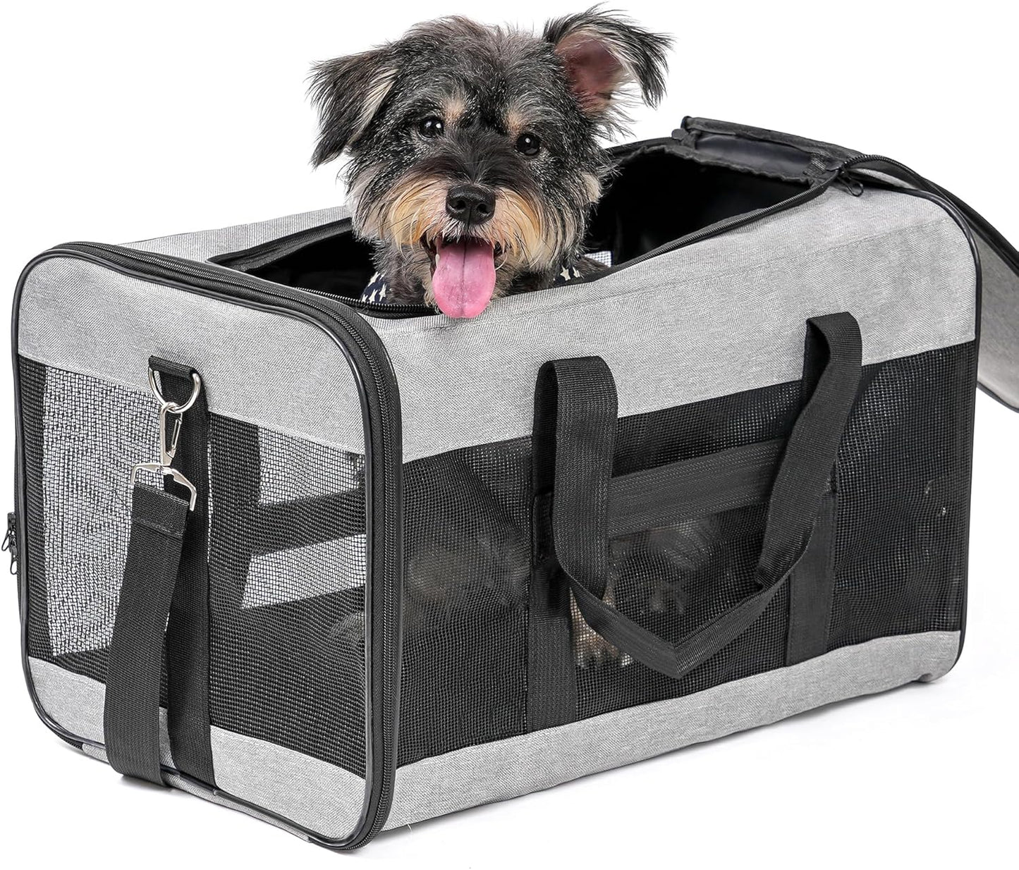 Conlun Cat Carrier Airline Approved, Soft-Sided Dog Carrier with Inner Safety Leash, Pet Transport Carrier for Small-Medium Cats Puppies up to 15 Lbs, Collapsible Travel Kitten Carrier Bag -Black M