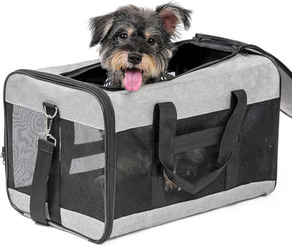 Conlun Cat Carrier Airline Approved, Soft-Sided Dog Carrier with Inner Safety Leash, Pet Transport Carrier for Small-Medium Cats Puppies up to 15 Lbs, Collapsible Travel Kitten Carrier Bag -Black M