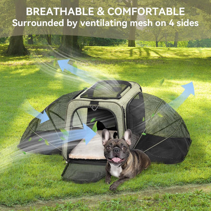 Petsfit Expandable Cat Dog Carrier Airline Approved, 17" L x 11" W x 11" H Soft-Sided Portable Pet Travel Carrier for Kitten, Puppy, Removable Soft Plush Mat and Pockets, Auto-Locking Zippers