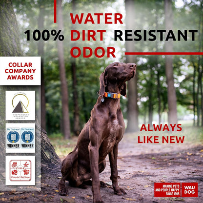 Waterproof Dog Collar - Adjustable Glow Dog Collar for Large Dogs, Small and Medium Dogs - Heavy Duty Dog Collars with Durable Metal Clasp and QR Dog Tag - Glow in The Dark Dog Collars