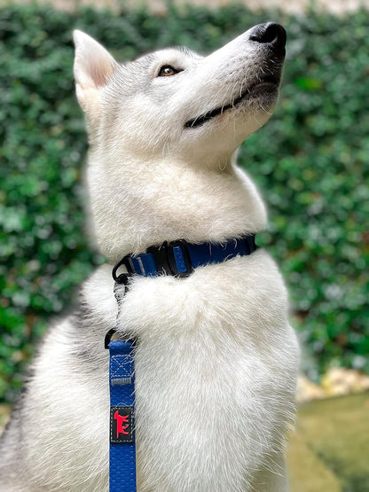 Tuff Pupper Waterproof Action Collar for Dogs | Heavy Duty Water Proof Dog Collar | Tear Proof & Odor Free | Rust-Proof Metal Hardware | Tactical Quick Release Buckle | for Adventurous, Active Dogs