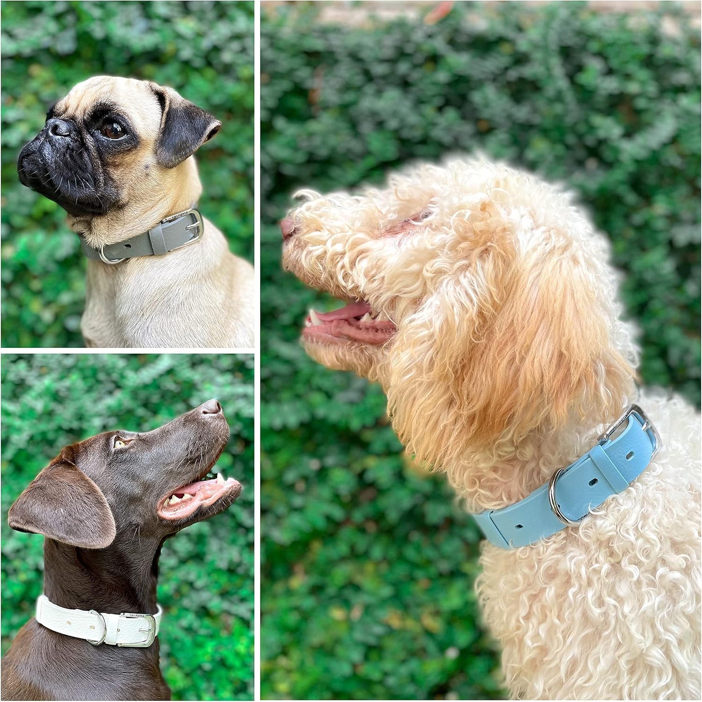 Tuff Pupper Classic Heavy Duty Dog Collar | 10x Stronger Than Leather | 100% Waterproof & Odor Proof Dog Collar | Tough Rust-Proof All Metal Hardware