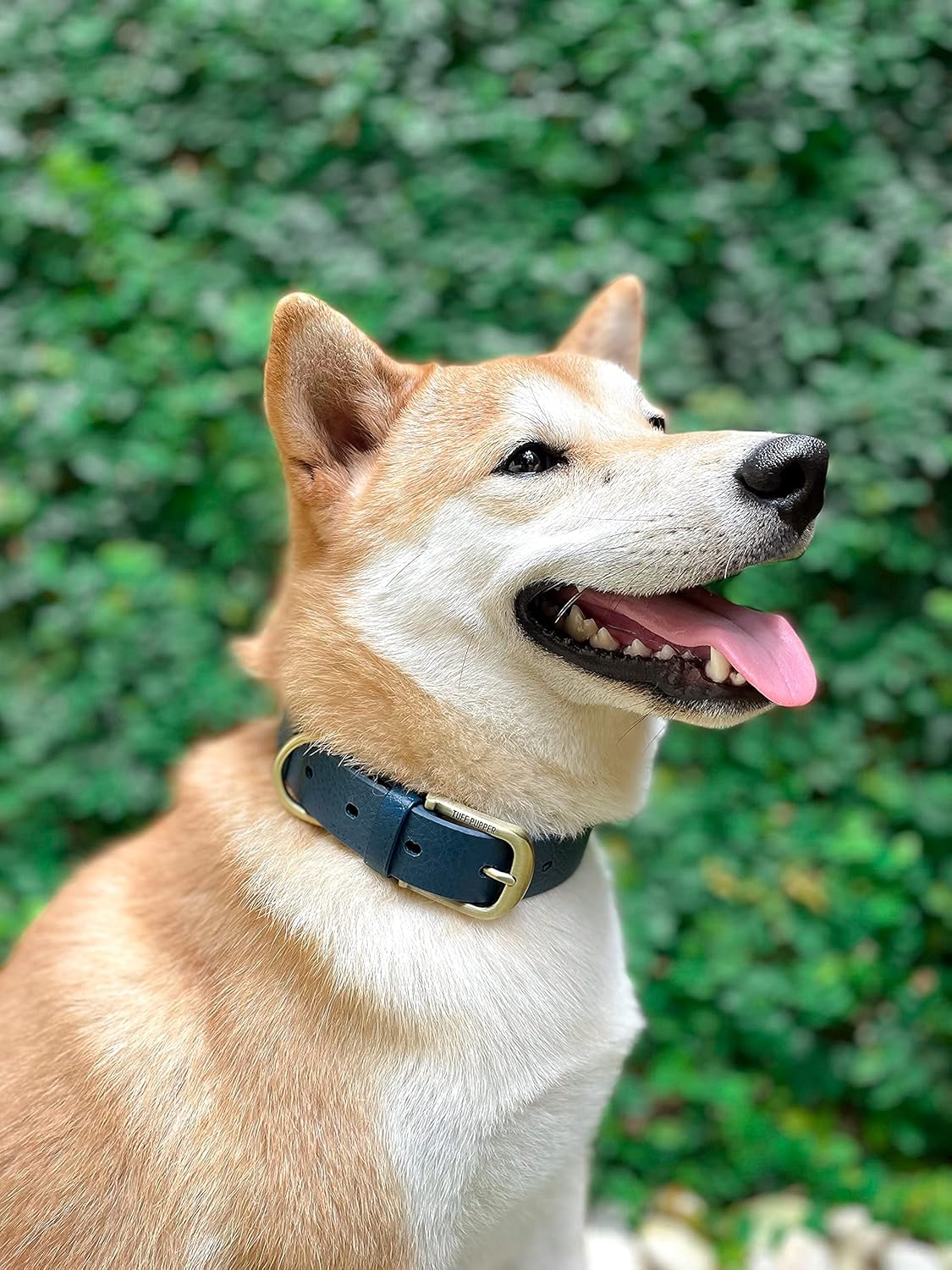 Tuff Pupper Classic Heavy Duty Dog Collar | 10x Stronger Than Leather | 100% Waterproof & Odor Proof Dog Collar | Tough Rust-Proof All Metal Hardware