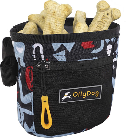 OllyDog Goodie Treat Bag, Dog Treat Pouch, Waist Belt Clip for Hands-Free Training, Magnetic Closure, Dog Training and Behavior Aids, Three Ways to Wear (Iceberg Green)
