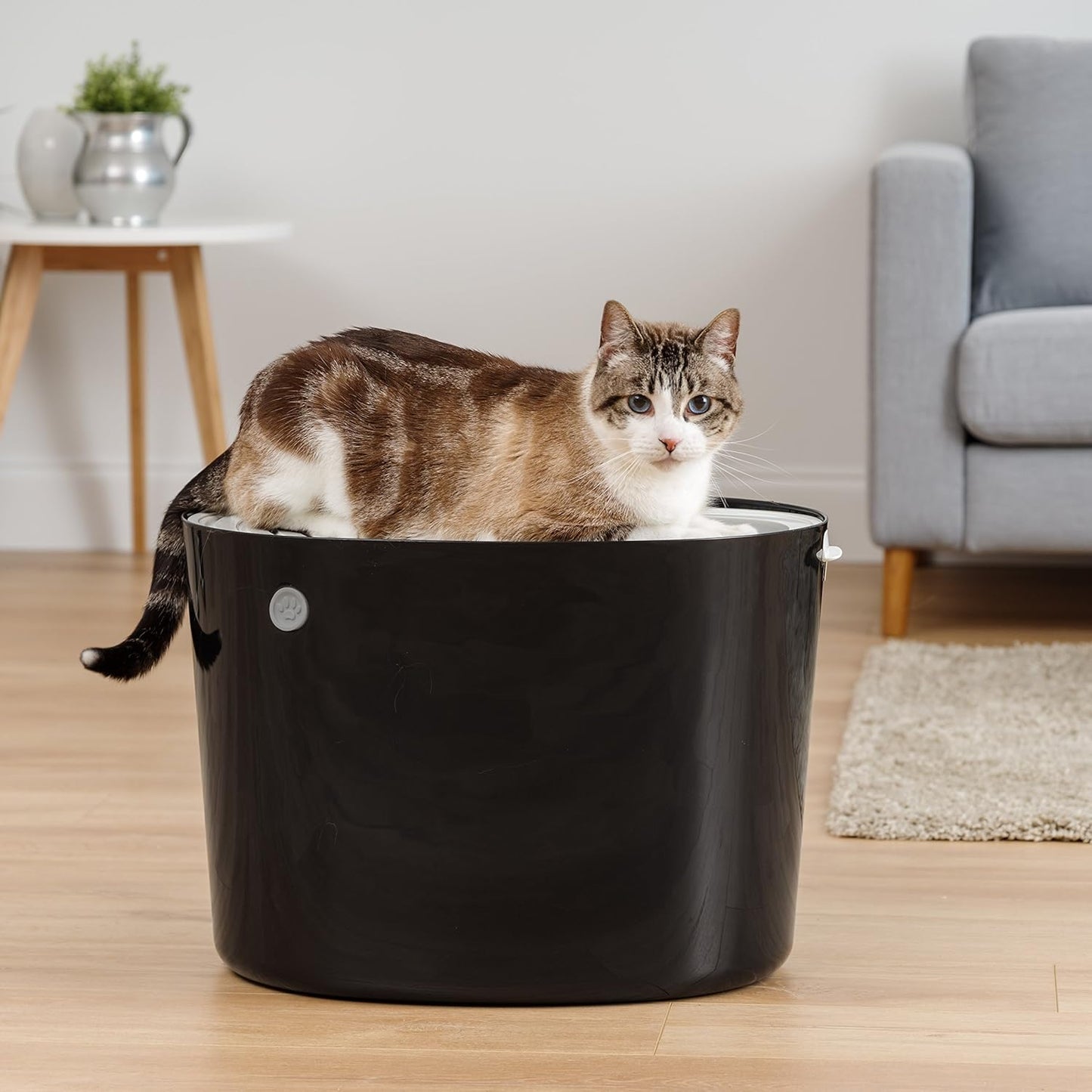 IRIS USA Top Entry Cat Litter Box with Scoop - Large - Stylish Enclosed Round Oval Kitty Dog Proof Box, Litiere Pour Chat Bac - White/Beige
