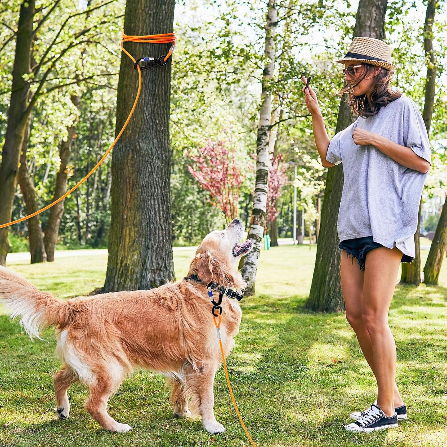 Furggis Dog Tie Out Cable,10/15/20/30/50FT Dog Run Cable for Yard and Camping Outdoor,Heavy Duty Dog Tether for Medium Large Dogs Chew Proof,1000lbs Break Strength,Reflective