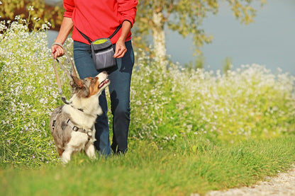 Pets First Dog Treat Training Pouch - Treat Bag for Kibble, Food, Toys, Accessories with Built-in Poop Bag Dispenser - Holder for Small, Medium & Large Dogs & Puppies with Multiple Ways to Wear