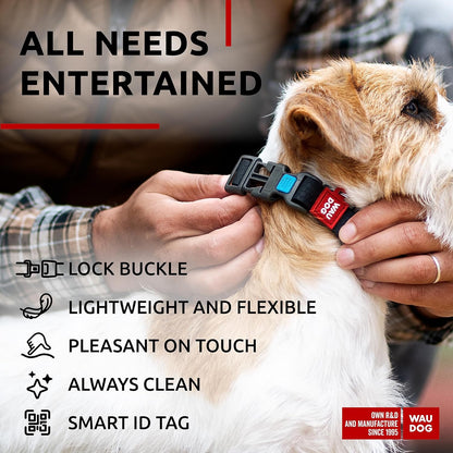 Waterproof Dog Collar - Adjustable Glow Dog Collar for Large Dogs, Small and Medium Dogs - Heavy Duty Dog Collars with Durable Metal Clasp and QR Dog Tag - Glow in The Dark Dog Collars