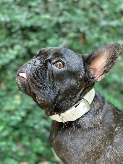 Tuff Pupper Classic Heavy Duty Dog Collar | 10x Stronger Than Leather | 100% Waterproof & Odor Proof Dog Collar | Tough Rust-Proof All Metal Hardware