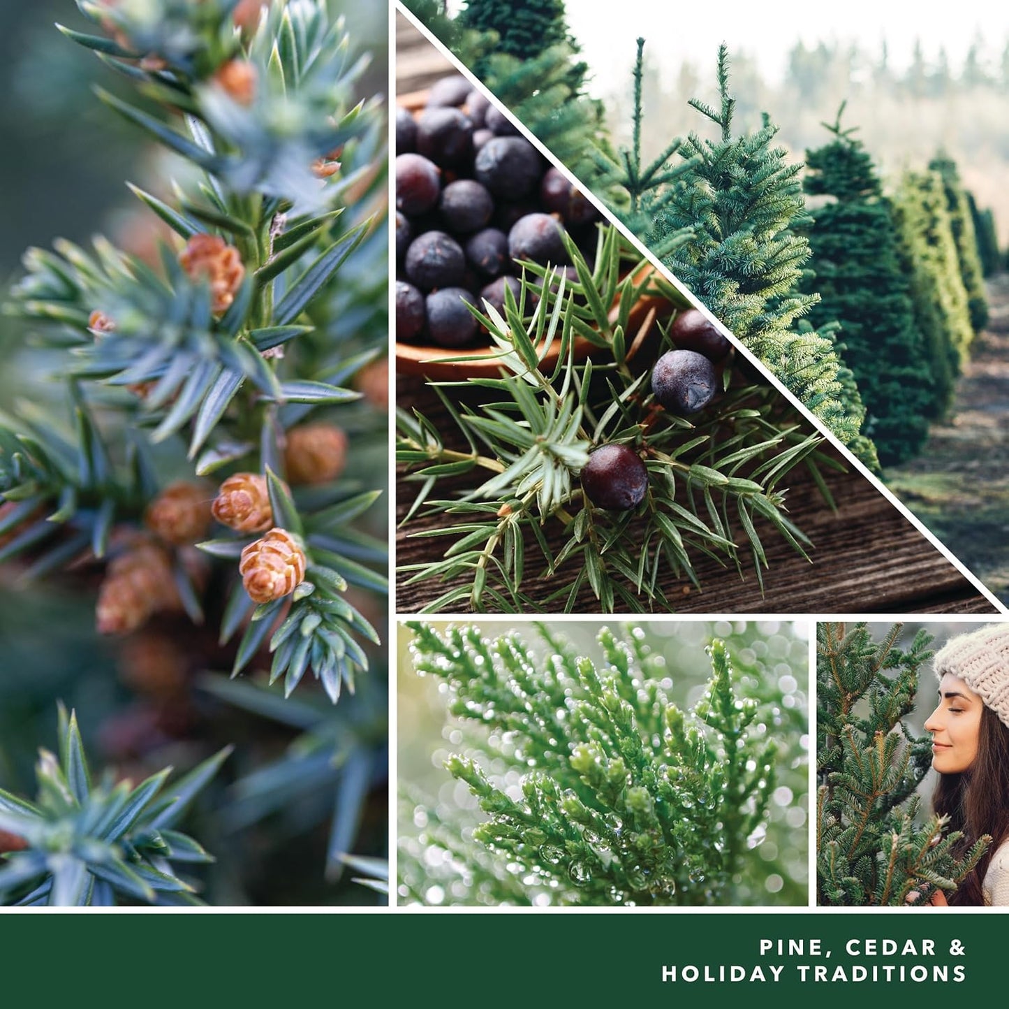 Yankee Candle Scented Candle, Sage & Citrus, Original Large Jar Candle, 110-150 Hours of Burn Time, 22 oz.