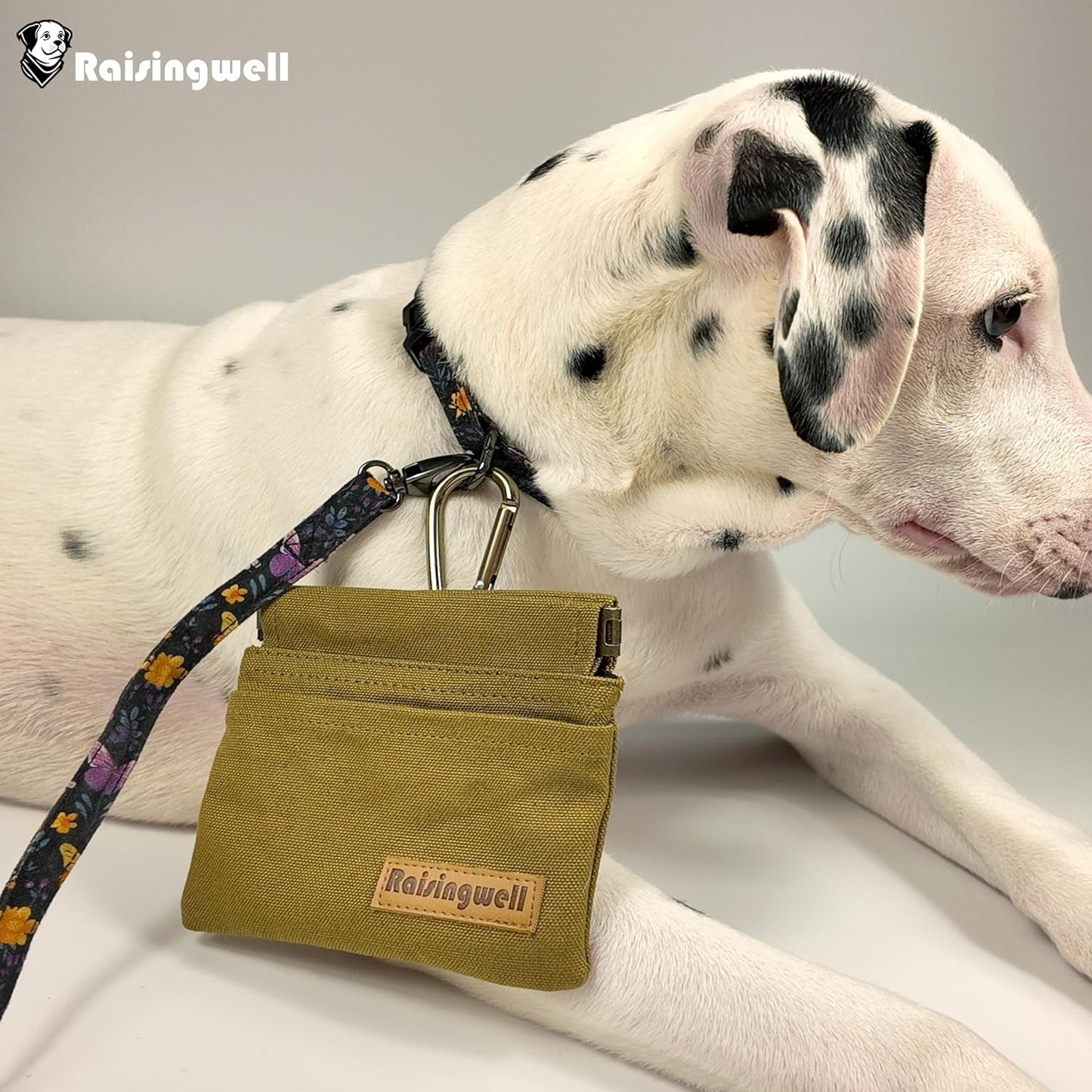 Raisingwell Dog Treat Pouch, Black Pocket Sized Pet Training Pouch, Cotton Fabric, Hand Free Dog Walking Bag with Carabiner, Self-Closing Pet Feed Snack Reward, for Pet Puppy Travel or Outdoor Use