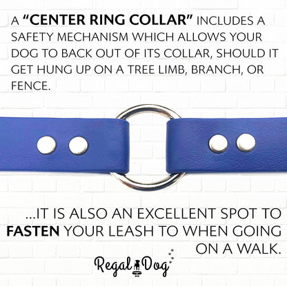 Regal Dog Products Small Orange Waterproof Dog Collar and Leash Set - Vinyl Coated, Biothane Puppy Pet Training Collar with Heavy Duty Center Ring & 5'ft Leash - Other Sizes for Medium & Large Dogs