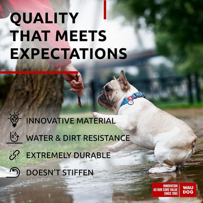 Waterproof Dog Collar - Adjustable Glow Dog Collar for Large Dogs, Small and Medium Dogs - Heavy Duty Dog Collars with Durable Metal Clasp and QR Dog Tag - Glow in The Dark Dog Collars