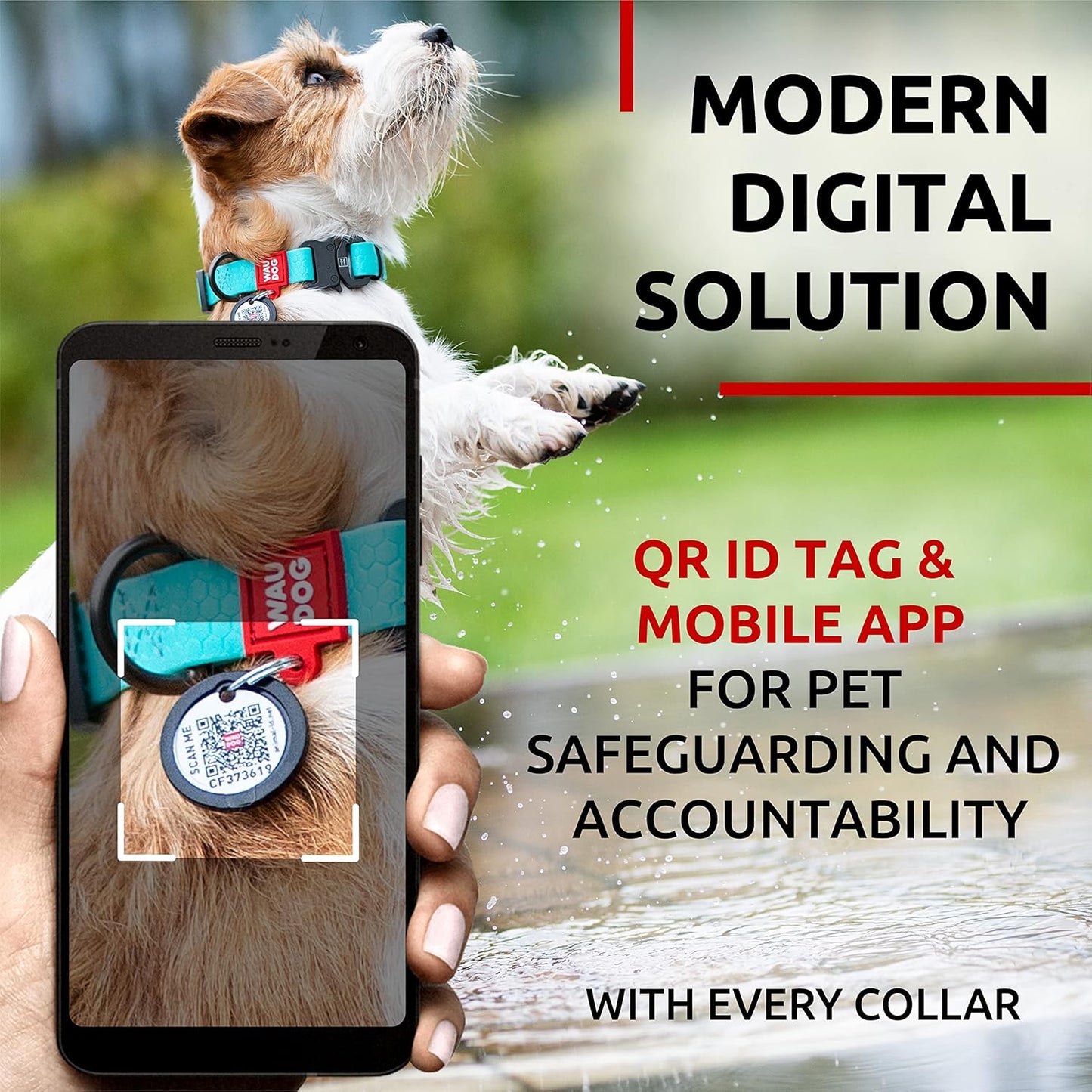 Waterproof Dog Collar - Adjustable Glow Dog Collar for Large Dogs, Small and Medium Dogs - Heavy Duty Dog Collars with Durable Metal Clasp and QR Dog Tag - Glow in The Dark Dog Collars