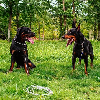 FRAMNG 2 Pack Dog Tie-Out Cable, 10ft Steel Wire Rope for Dogs Up to 80 Pound, Heavy-Duty Dog Runner Tie Out Cable, Dog Lead Line for Yard, Camping, Outside (3 Meter)