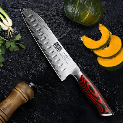 HOSHANHO Fillet Knife 7 Inch, Damascus Steel Boning Knife, Professional Fish Fillet Knife for Meat Chicken Cutting, Meat Knife with G10 Ergonomic Handle