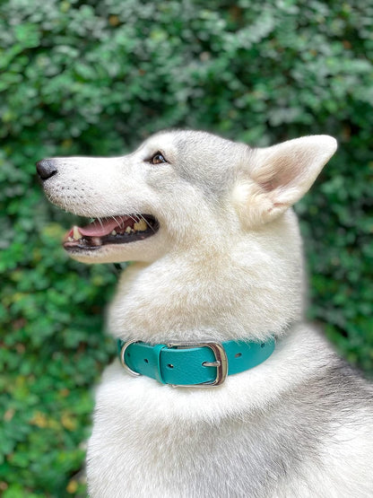 Tuff Pupper Classic Heavy Duty Dog Collar | 10x Stronger Than Leather | 100% Waterproof & Odor Proof Dog Collar | Tough Rust-Proof All Metal Hardware
