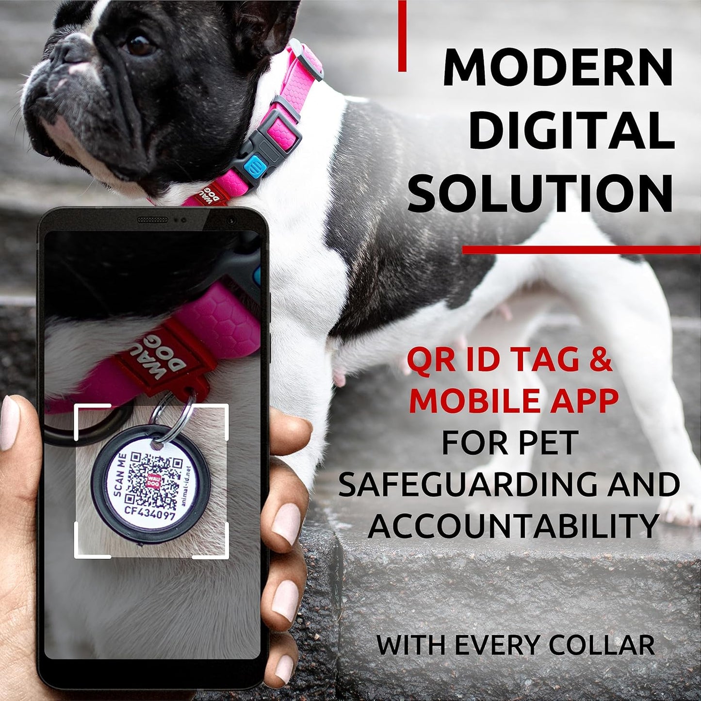Waterproof Dog Collar - Adjustable Glow Dog Collar for Large Dogs, Small and Medium Dogs - Heavy Duty Dog Collars with Durable Metal Clasp and QR Dog Tag - Glow in The Dark Dog Collars
