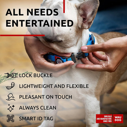 Waterproof Dog Collar - Adjustable Glow Dog Collar for Large Dogs, Small and Medium Dogs - Heavy Duty Dog Collars with Durable Metal Clasp and QR Dog Tag - Glow in The Dark Dog Collars