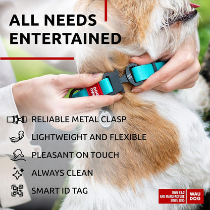 Waterproof Dog Collar - Adjustable Glow Dog Collar for Large Dogs, Small and Medium Dogs - Heavy Duty Dog Collars with Durable Metal Clasp and QR Dog Tag - Glow in The Dark Dog Collars