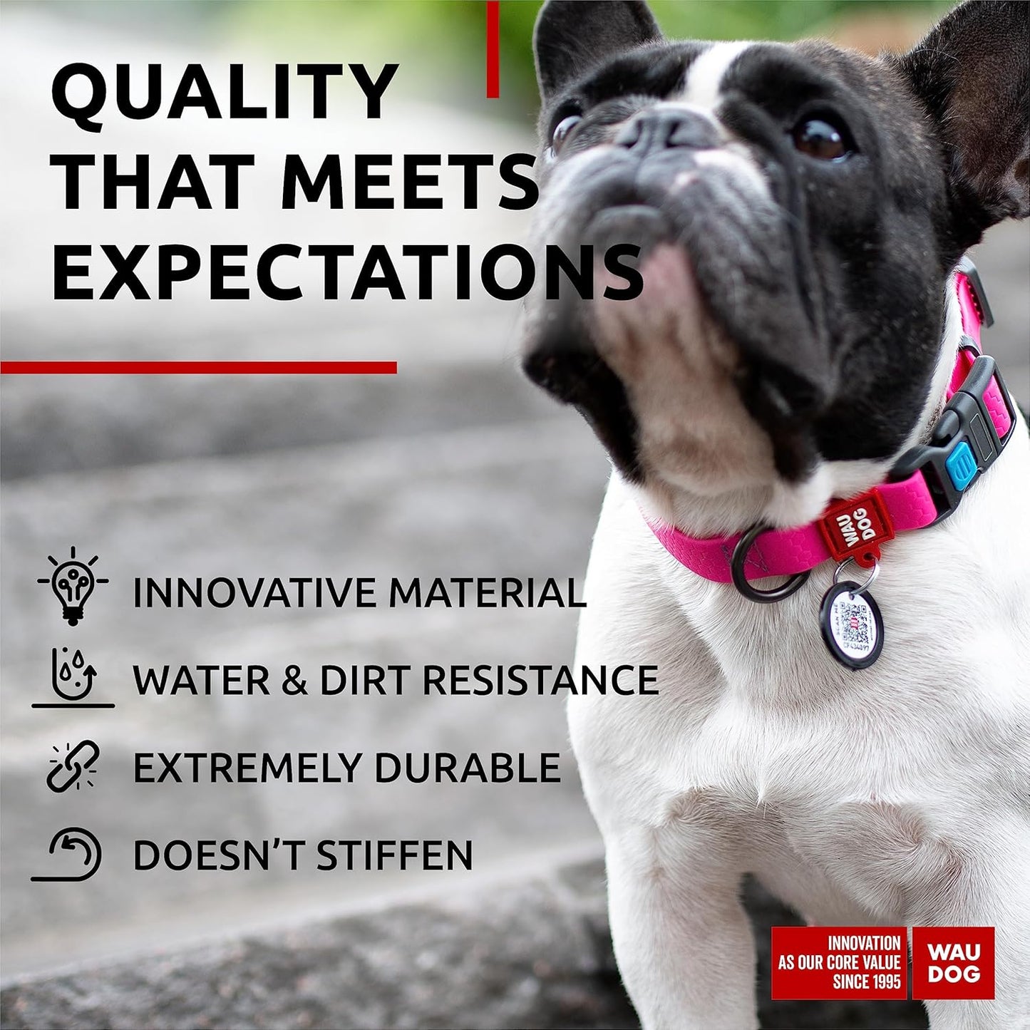 Waterproof Dog Collar - Adjustable Glow Dog Collar for Large Dogs, Small and Medium Dogs - Heavy Duty Dog Collars with Durable Metal Clasp and QR Dog Tag - Glow in The Dark Dog Collars