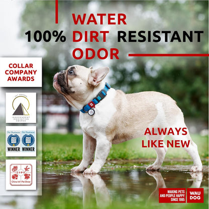 Waterproof Dog Collar - Adjustable Glow Dog Collar for Large Dogs, Small and Medium Dogs - Heavy Duty Dog Collars with Durable Metal Clasp and QR Dog Tag - Glow in The Dark Dog Collars