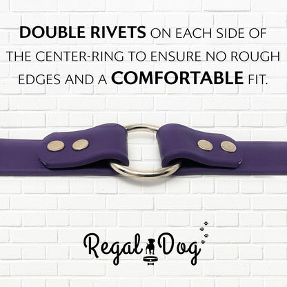 Regal Dog Products Medium Orange Dog Collar with Heavy Duty Double Buckle & D Ring | Vinyl Coated, Custom Fit, Adjustable Biothane Dog Collar Chew Resistant Waterproof Center-Ring Collar for Dogs