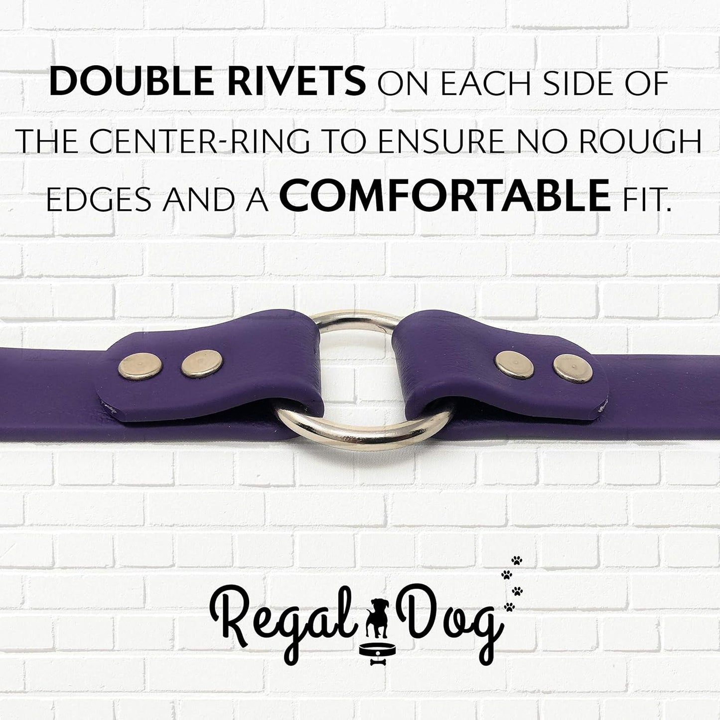 Regal Dog Products Small Orange Waterproof Dog Collar and Leash Set - Vinyl Coated, Biothane Puppy Pet Training Collar with Heavy Duty Center Ring & 5'ft Leash - Other Sizes for Medium & Large Dogs