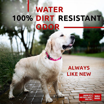 Waterproof Dog Collar - Adjustable Glow Dog Collar for Large Dogs, Small and Medium Dogs - Heavy Duty Dog Collars with Durable Metal Clasp and QR Dog Tag - Glow in The Dark Dog Collars