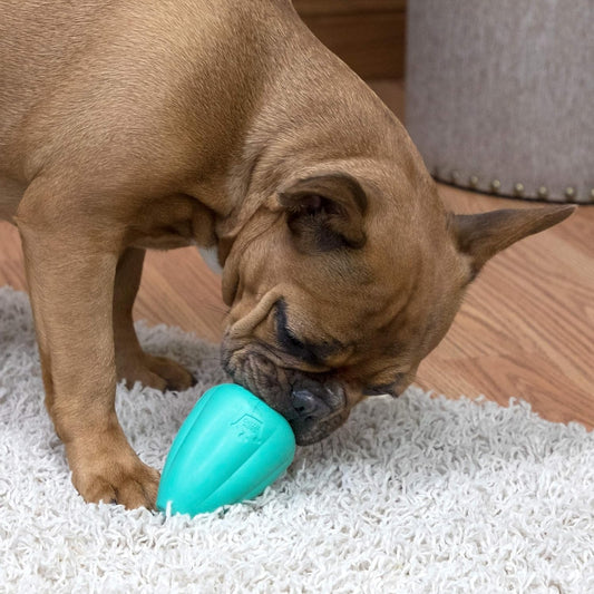 Chew King Premium Treat Dog Toy, L, Extremely Durable Natural Rubber Toy, Pack of 2 - PuriLite