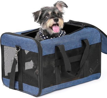 Conlun Cat Carrier Airline Approved, Soft-Sided Dog Carrier with Inner Safety Leash, Pet Transport Carrier for Small-Medium Cats Puppies up to 15 Lbs, Collapsible Travel Kitten Carrier Bag -Black M
