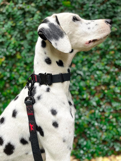 Tuff Pupper Waterproof Action Collar for Dogs | Heavy Duty Water Proof Dog Collar | Tear Proof & Odor Free | Rust-Proof Metal Hardware | Tactical Quick Release Buckle | for Adventurous, Active Dogs