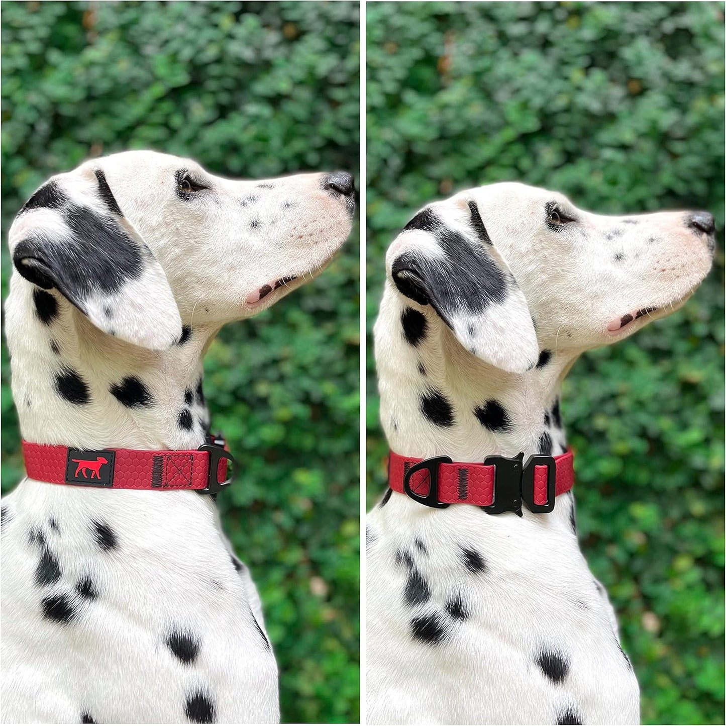 Tuff Pupper Waterproof Action Collar for Dogs | Heavy Duty Water Proof Dog Collar | Tear Proof & Odor Free | Rust-Proof Metal Hardware | Tactical Quick Release Buckle | for Adventurous, Active Dogs