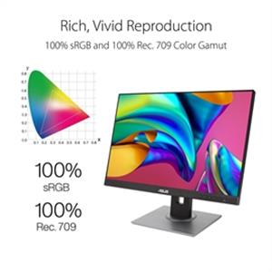 ASUS Monitor PA248QV 24.1" IPS 16:10 1920x1200 1000:1 5ms HDMI/VGA/USB Speaker - PuriLite