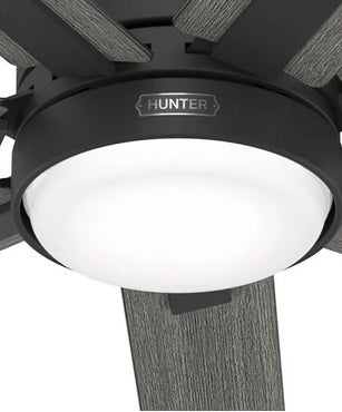 Hunter Loflin LED 60 in. Ceiling Fan - PuriLite