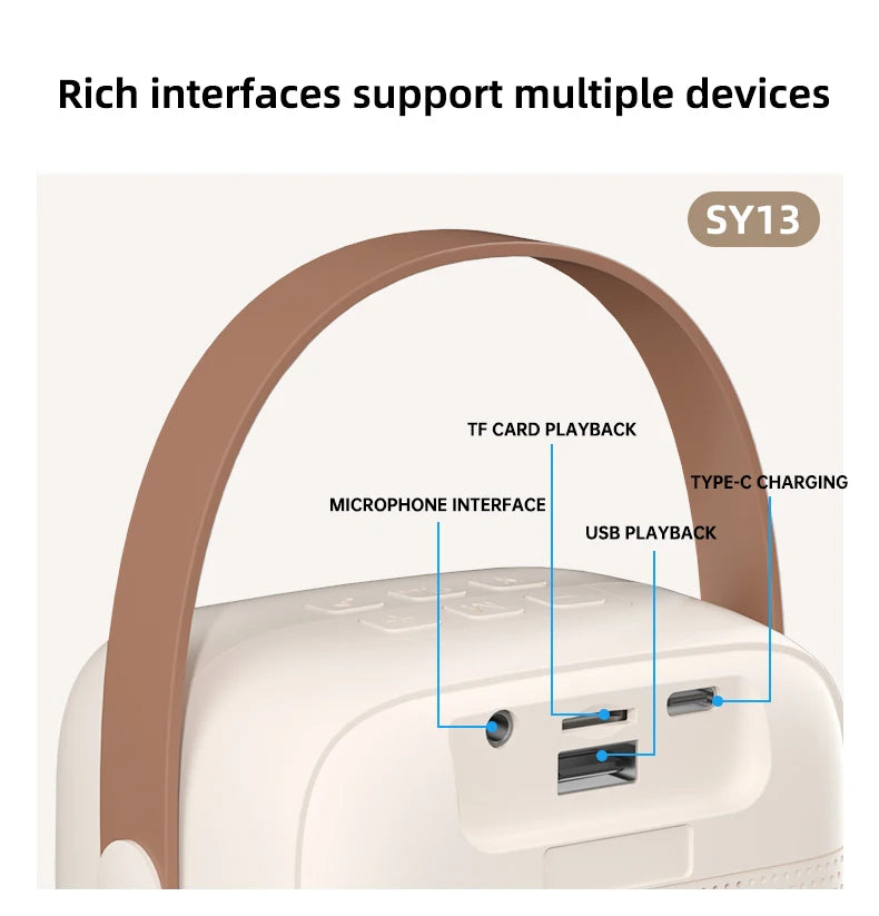 Purilite Select – Home Karaoke Machine Portable Bluetooth 5.3 PA Powerful Bass Speaker System with 2 Wireless Microphones
