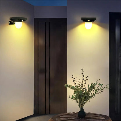 Purilite Select Solar Motion Sensor Landscape Spotlight | Waterproof LED Garden Pathway Light with 3 Lighting Modes for Yard, Patio & Walkway