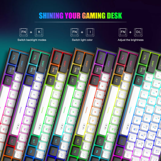 Purilite Select TS91 60% Compact RGB Backlit Wired Keyboard