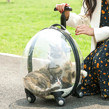 Purilite Select Transparent Pet Carrier Trolley Case – Rolling Cat Backpack Capsule for Travel, Walking & Outdoor Use - PuriLite