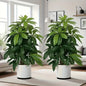 Purilite Select Large Artificial Money Tree – Realistic Green Faux Palm Plant for Outdoor Garden, Balcony, Porch, Wedding, and Party Decor - PuriLite