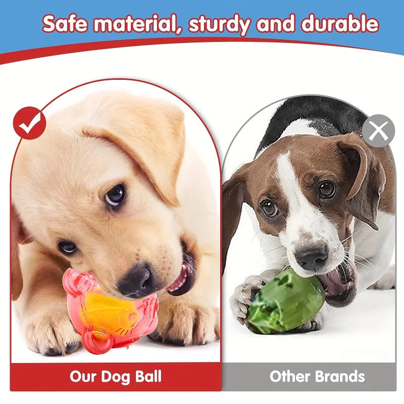 Purilite Select Durable Dog Chew Toy – Cute Bear Head Squeaky Puppy Toy - Teeth-Cleaning Rubber Toy for Small and Large Dogs