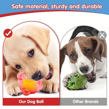 Purilite Select Durable Dog Chew Toy – Cute Bear Head Squeaky Puppy Toy - Teeth-Cleaning Rubber Toy for Small and Large Dogs