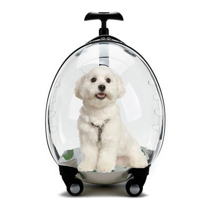 Purilite Select Transparent Pet Carrier Trolley Case – Rolling Cat Backpack Capsule for Travel, Walking & Outdoor Use - PuriLite