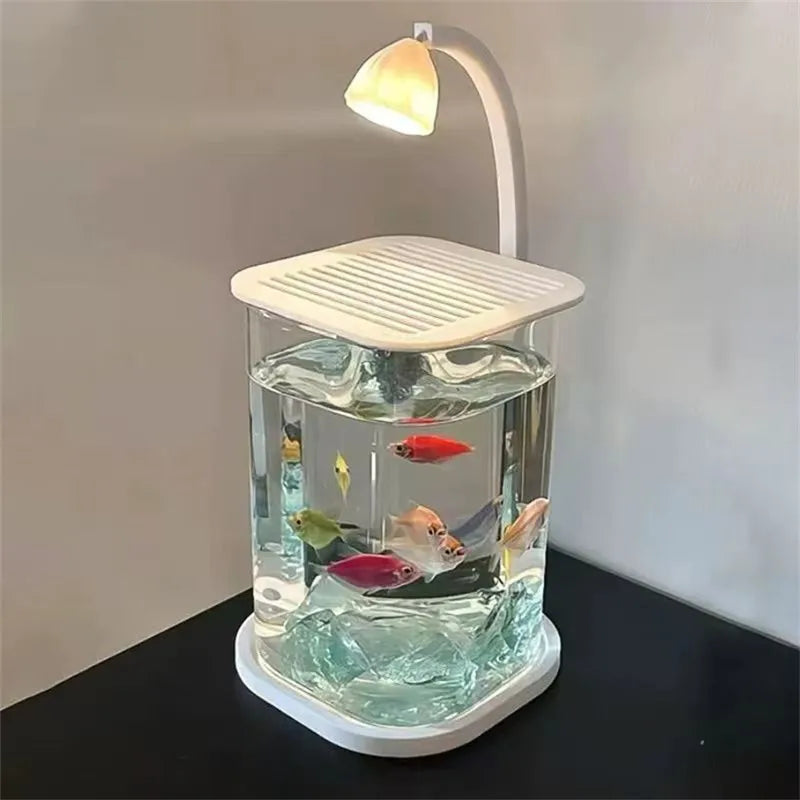 Mini Desktop Glass Aquarium Fish Tank with LED Light For Kids Betta Fish - PuriLite