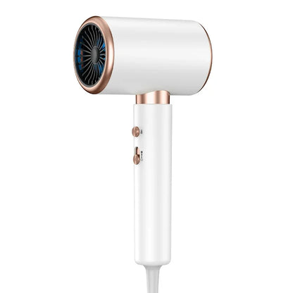 Purilite Select Professional 2200W Hair Dryer