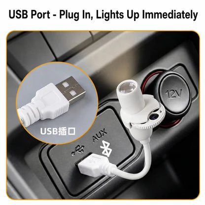 Purilite Select Star Projector Night Light USB Plug In 360 Degree Rotating Starry Sky Projection Lamp for Bedroom Room Decor and Parties