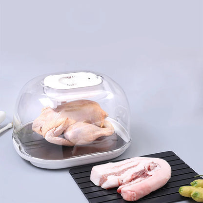 Purilite Select Food Thaw Plate – 32x24.5cm Household Kitchen Freezer Defrost Tray with Dust-Proof Locking Lid - PuriLite