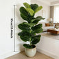Purilite Select 85CM Artificial Ficus Lyrata Tree – Faux Fiddle Leaf Plant with 23 Leaves for Indoor Home, Office, Cafe, and Event Decor - PuriLite